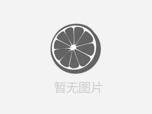 【人人講安全，個個會應急——暢通生命通道 】河南鴻宸積極參加安陽市2024年“安全宣傳咨詢?nèi)铡被顒? style=